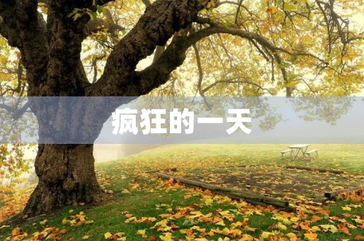 疯狂的一天 疯狂的一天