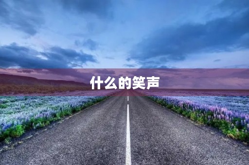 什么的笑声 什么的笑声