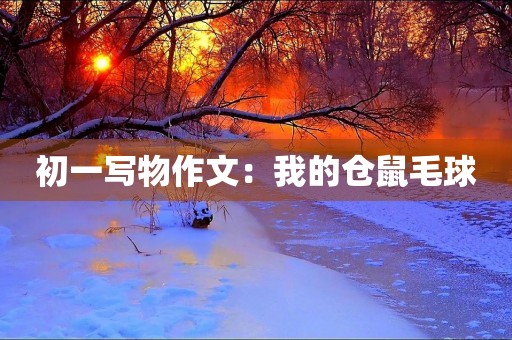 初一写物作文:我的仓鼠毛球 初一写物作文:我的仓鼠毛球
