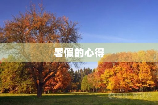 暑假的心得 暑假的心得