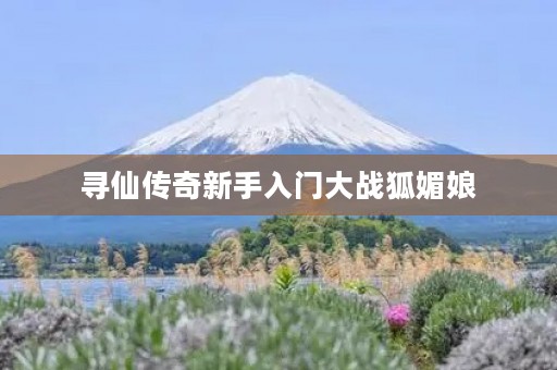 寻仙传奇新手入门大战狐媚娘