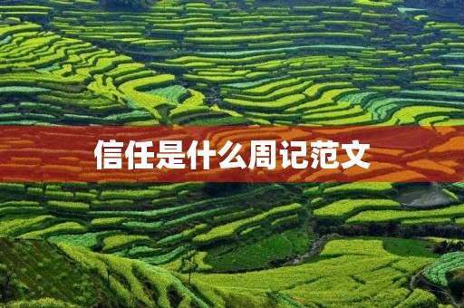 信任是什么周记范文 信任是什么周记范文