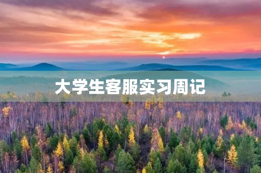 大学生客服实习周记 大学生客服实习周记