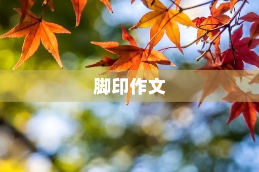 脚印作文 脚印作文