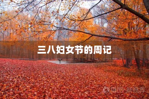 三八妇女节的周记