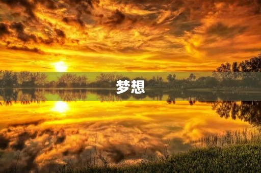 梦想 梦想