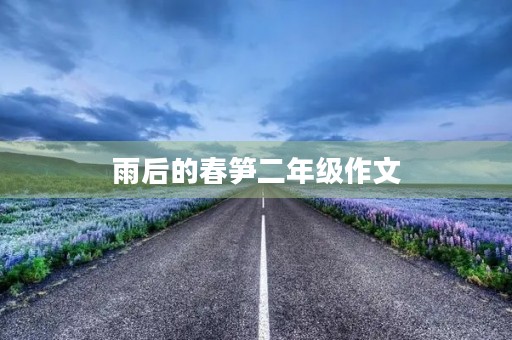 雨后的春笋二年级作文 雨后的春笋二年级作文