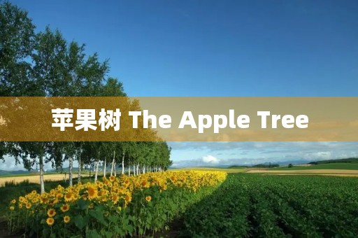 苹果树 The Apple Tree