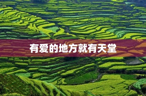 有爱的地方就有天堂