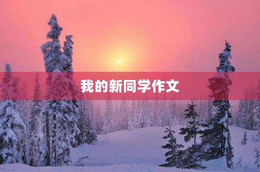 我的新同学作文 我的新同学作文
