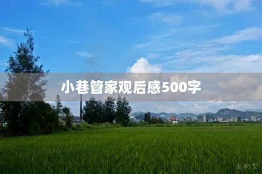 小巷管家观后感500字 小巷管家观后感500字