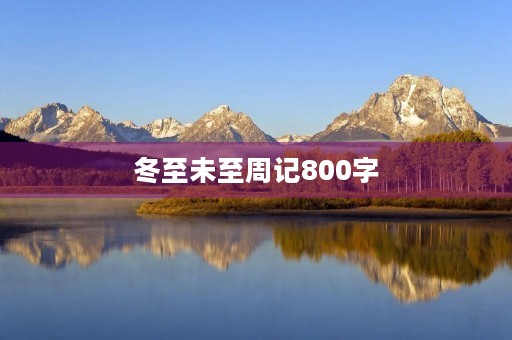 冬至未至周记800字