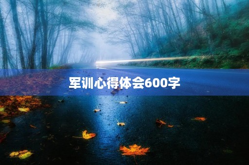 军训心得体会600字 军训心得体会600字