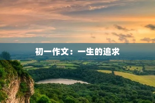 初一作文：一生的追求