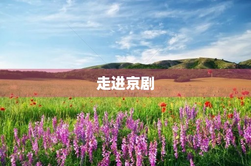 走进京剧