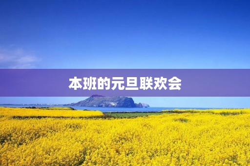 本班的元旦联欢会 本班的元旦联欢会