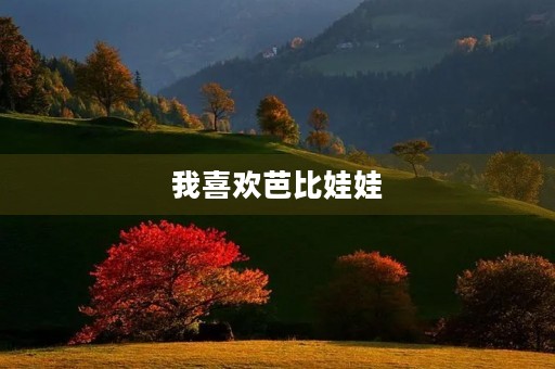 我喜欢芭比娃娃