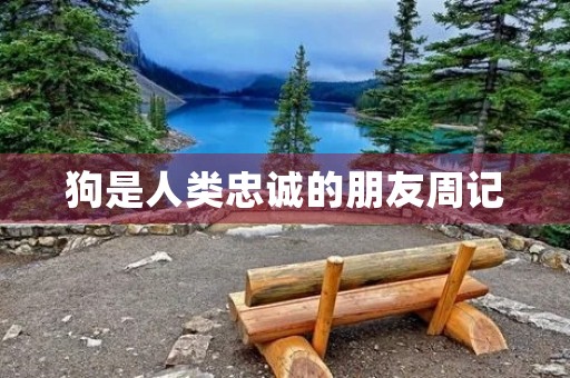 狗是人类忠诚的朋友周记