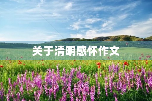 关于清明感怀作文 关于清明感怀作文