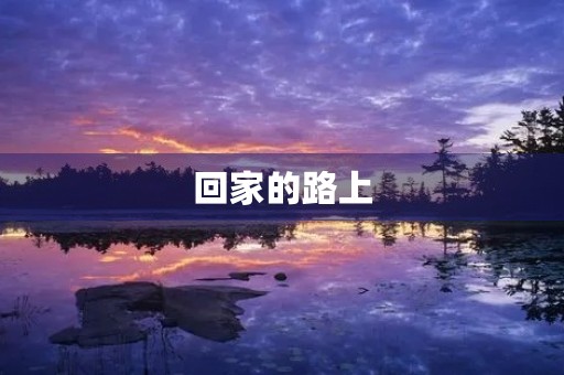 回家的路上