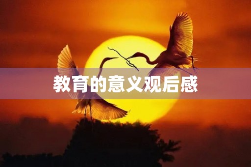 教育的意义观后感