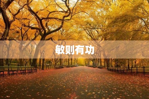 敏则有功 敏则有功