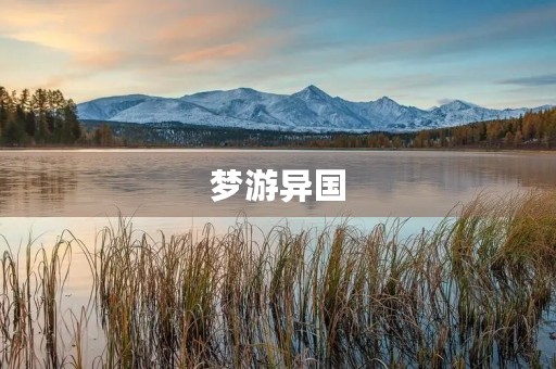 梦游异国 梦游异国