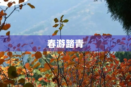 春游踏青 春游踏青