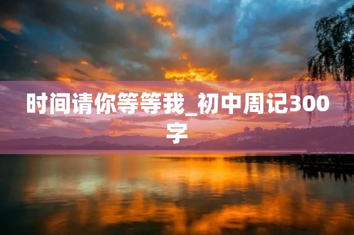 时间请你等等我_初中周记300字