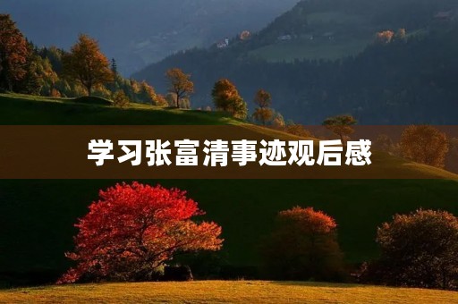 学习张富清事迹观后感 学习张富清事迹观后感