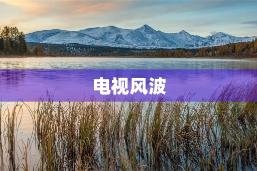 电视风波 电视风波