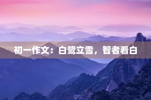 初一作文:白鹭立雪,智者看白 初一作文:白鹭立雪,智者看白