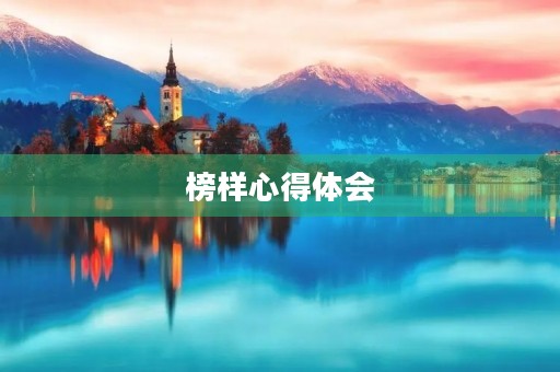 榜样心得体会 榜样心得体会