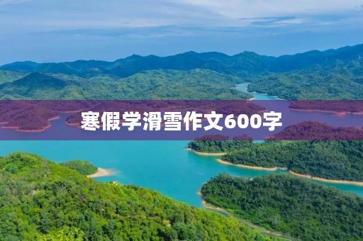 寒假学滑雪作文600字 寒假学滑雪作文600字