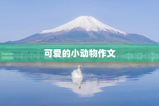 可爱的小动物作文