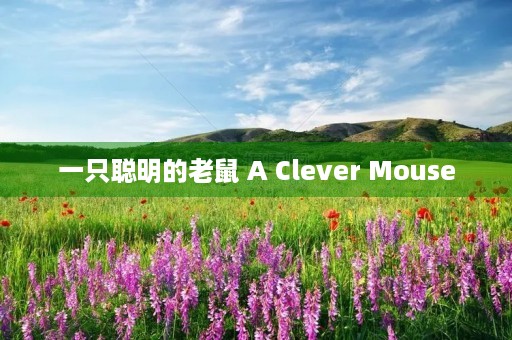 一只聪明的老鼠 A Clever Mouse