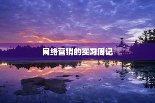 网络营销的实习周记 网络营销的实习周记