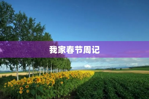 我家春节周记