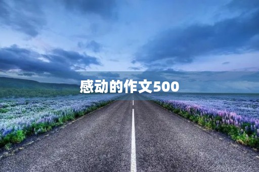 感动的作文500 感动的作文500