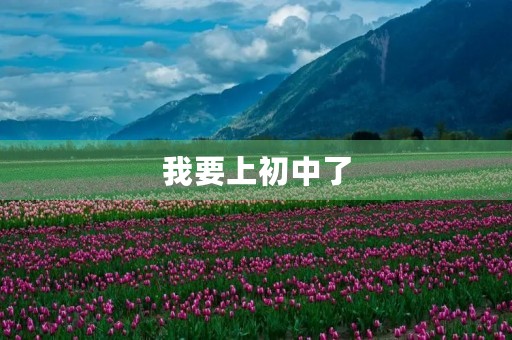 我要上初中了