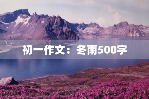 初一作文:冬雨500字 初一作文:冬雨500字