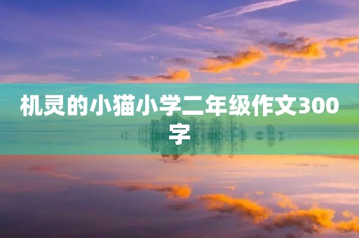 机灵的小猫小学二年级作文300字