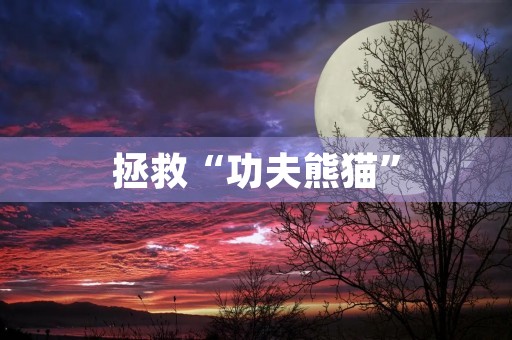 拯救“功夫熊猫” 拯救“功夫熊猫”