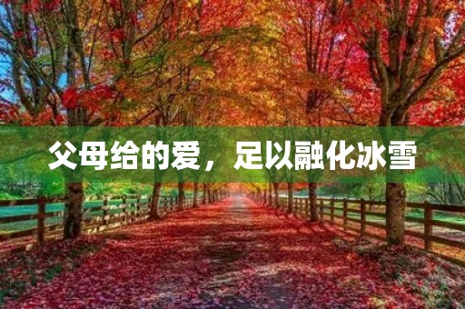父母给的爱,足以融化冰雪 父母给的爱,足以融化冰雪