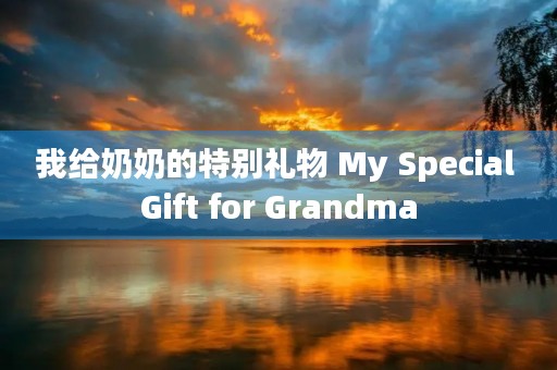我给奶奶的特别礼物 My Special Gift for Grandma