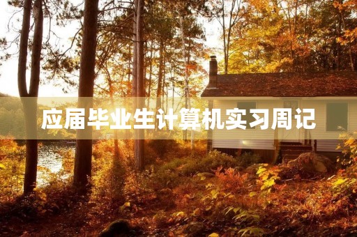 应届毕业生计算机实习周记 应届毕业生计算机实习周记