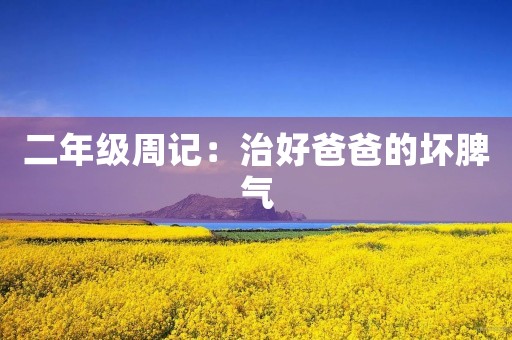 二年级周记：治好爸爸的坏脾气