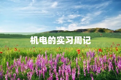 机电的实习周记 机电的实习周记