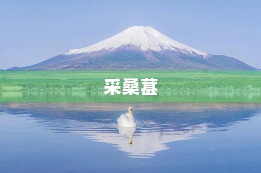 采桑葚 采桑葚
