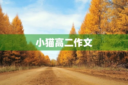 小猫高二作文 小猫高二作文